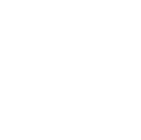 Advanced Icon