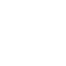 Icon Novice