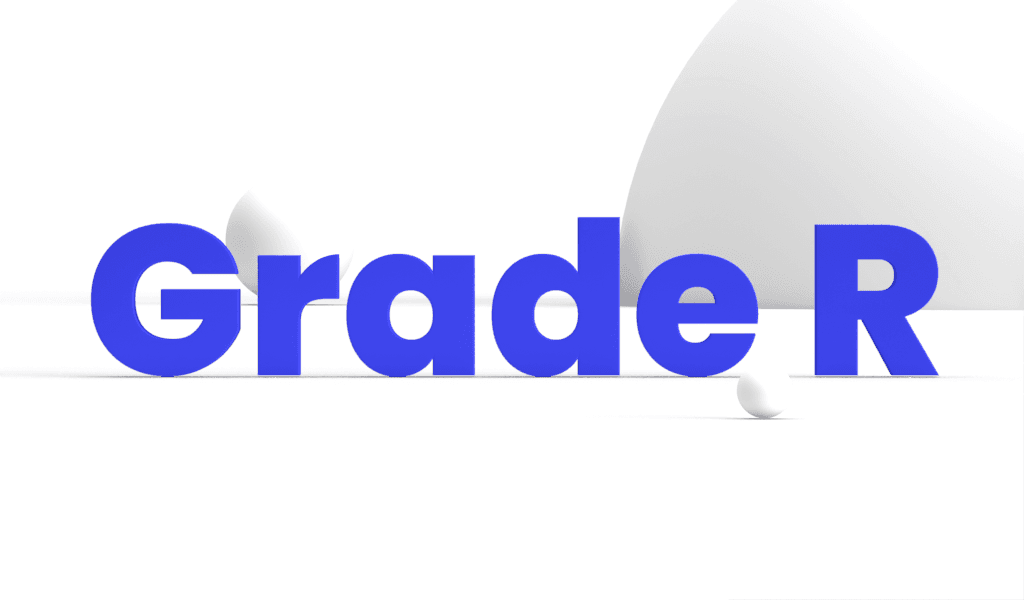 Grade R Unplugged: Little Learners, Big Ideas!